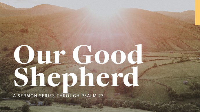 Our Good Shepherd